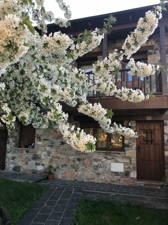Casa Rural Magdalena Villa Espinareda de Vega Bagian luar foto